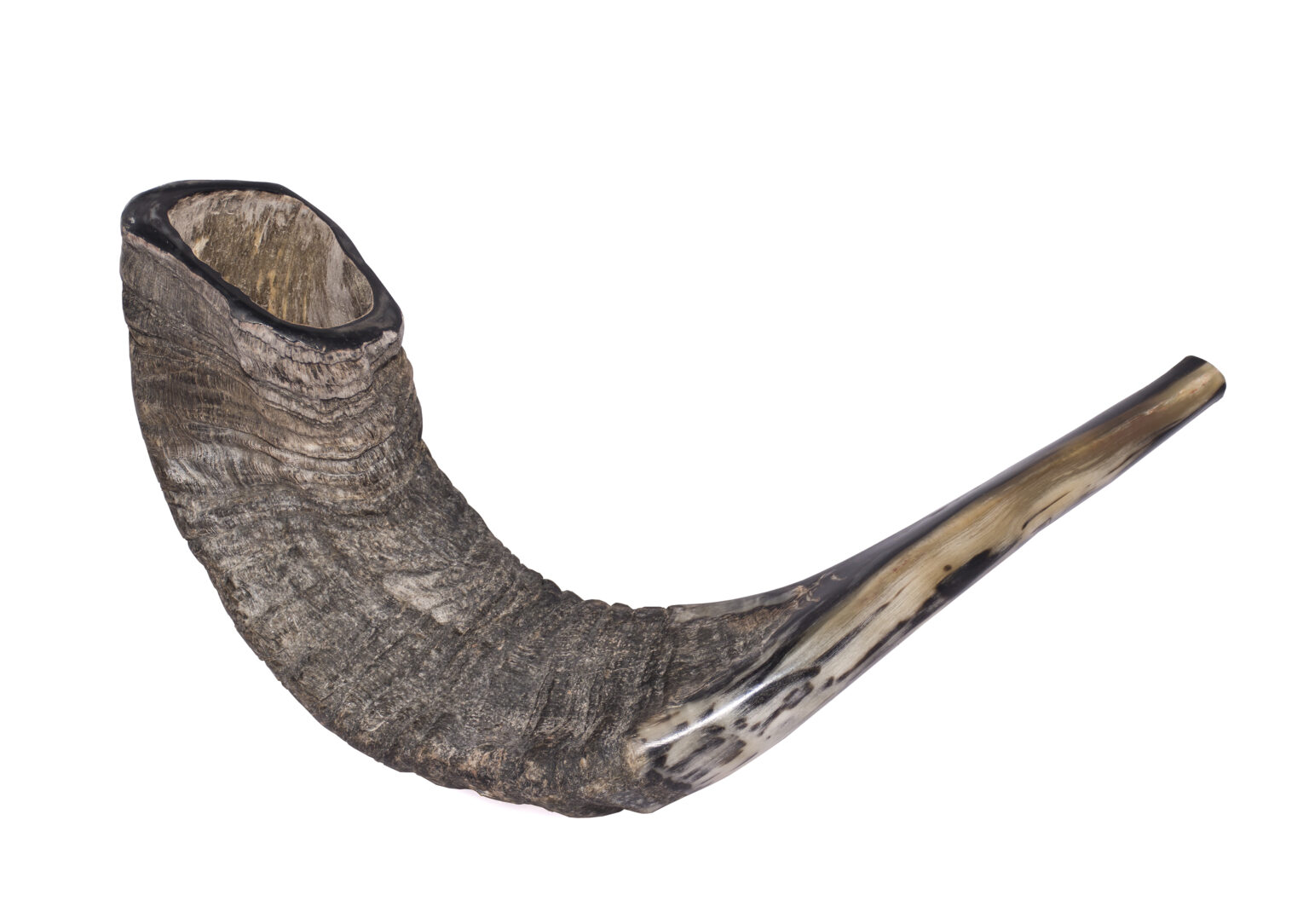 The Shofar Shoes - Rabbi Avi Shafran